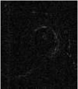 Figure 29