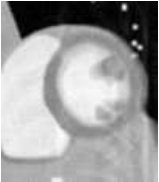 Figure 36