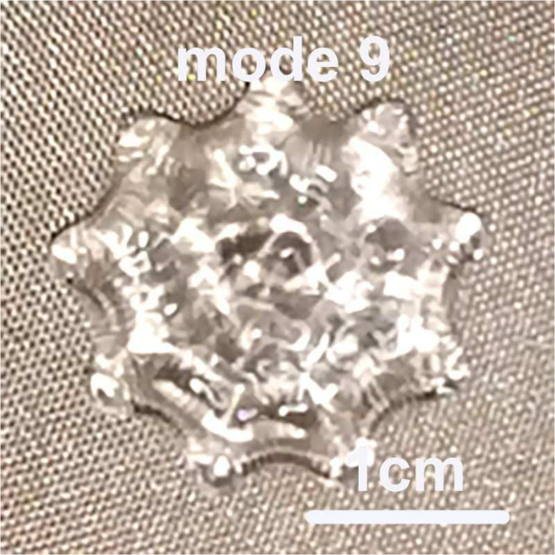 Figure 20