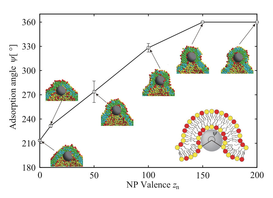 Figure 10