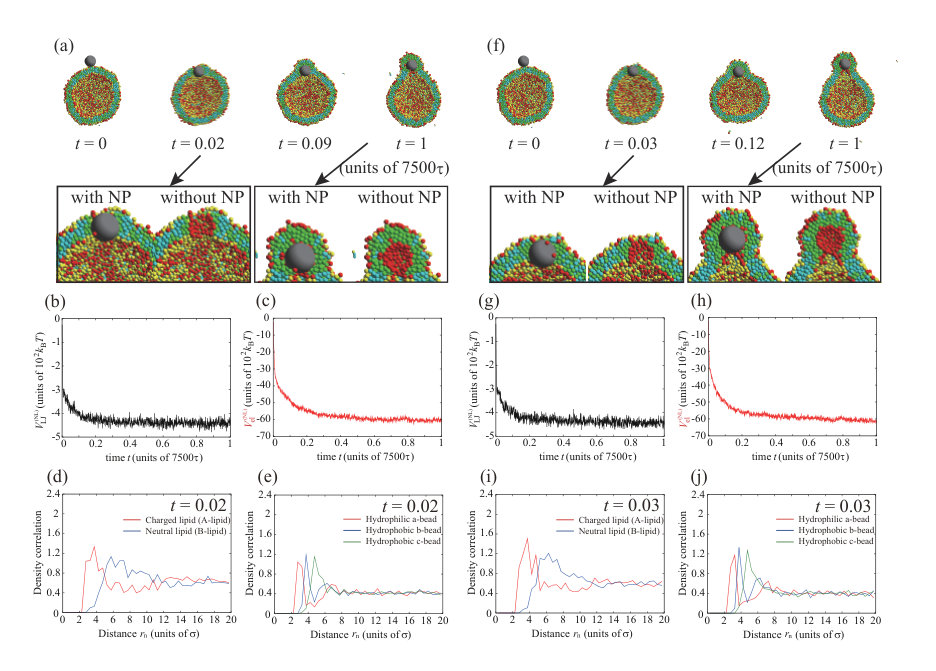 Figure 17