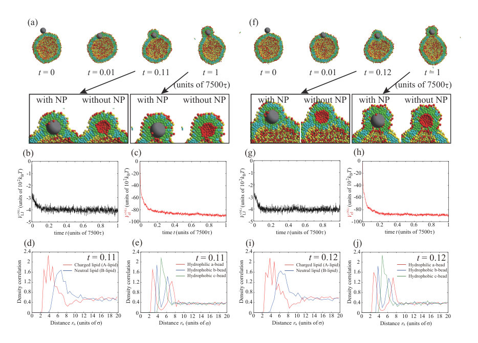 Figure 18