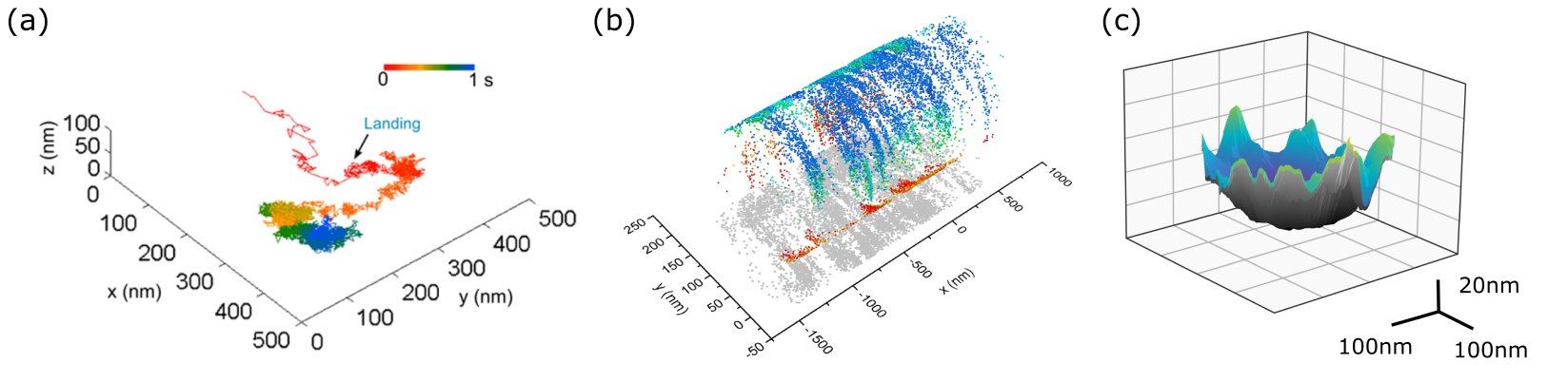 Figure 7