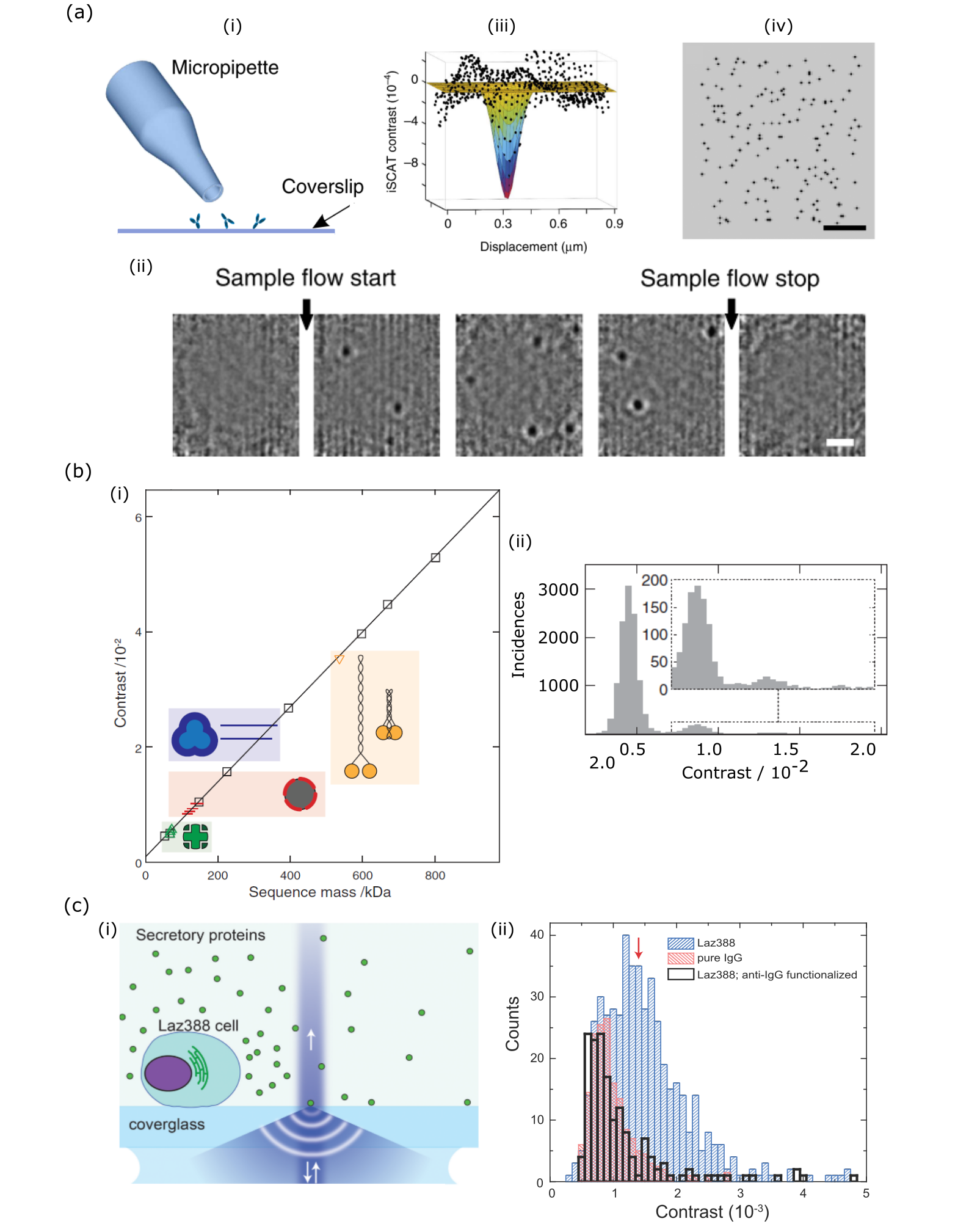 Figure 13