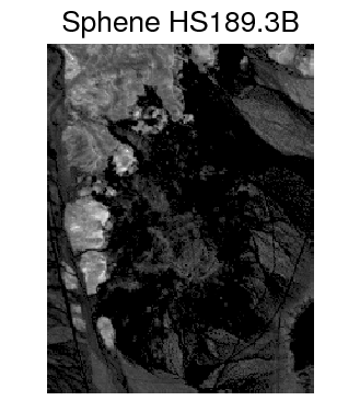 Figure 21