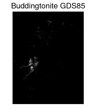 Figure 31