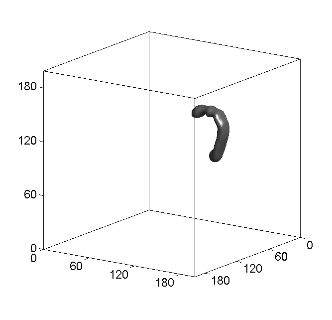 Figure 32