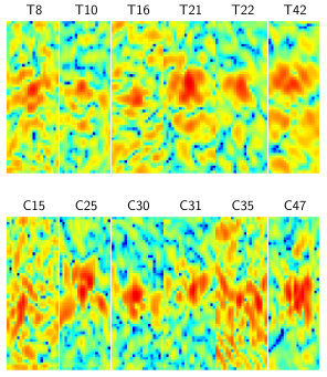 Figure 11