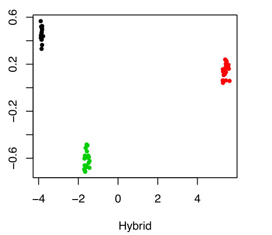 Figure 19