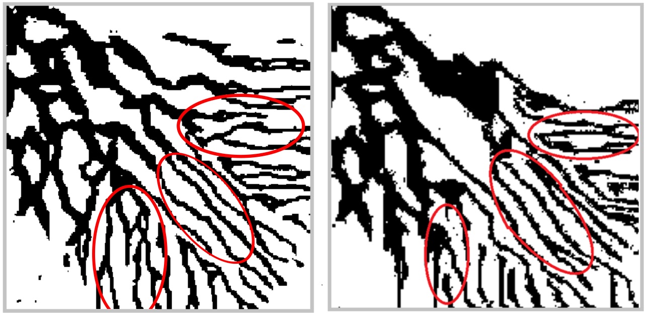 Figure 8