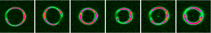Figure 30