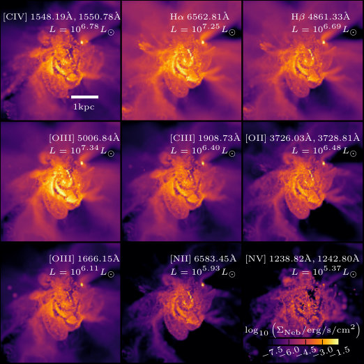 Figure 28