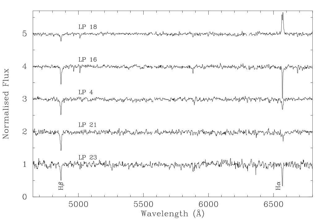 Figure 5