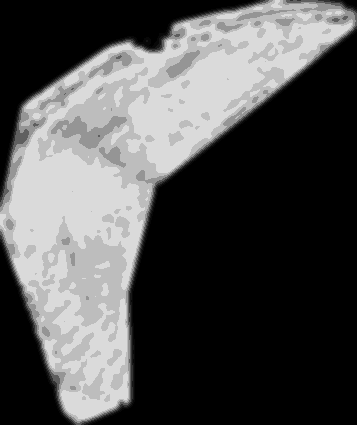Figure 23