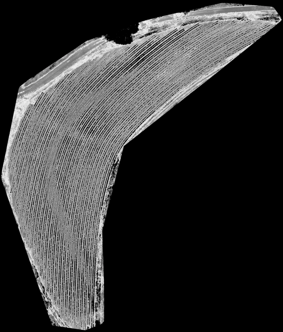 Figure 31
