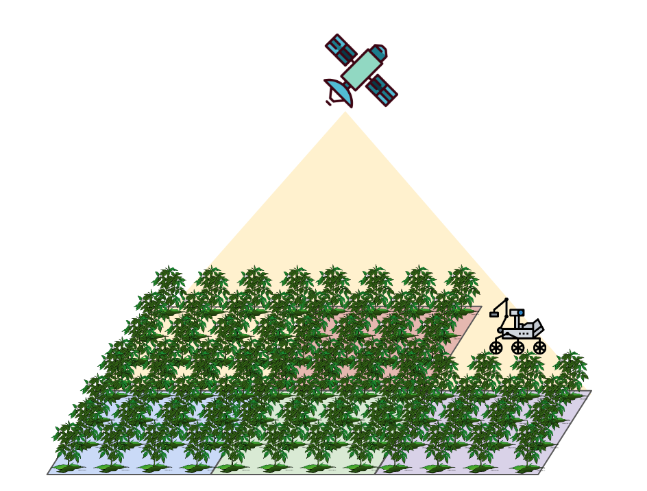 Figure 35