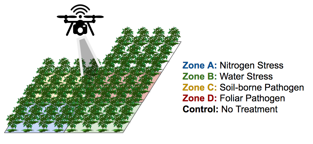 Figure 36