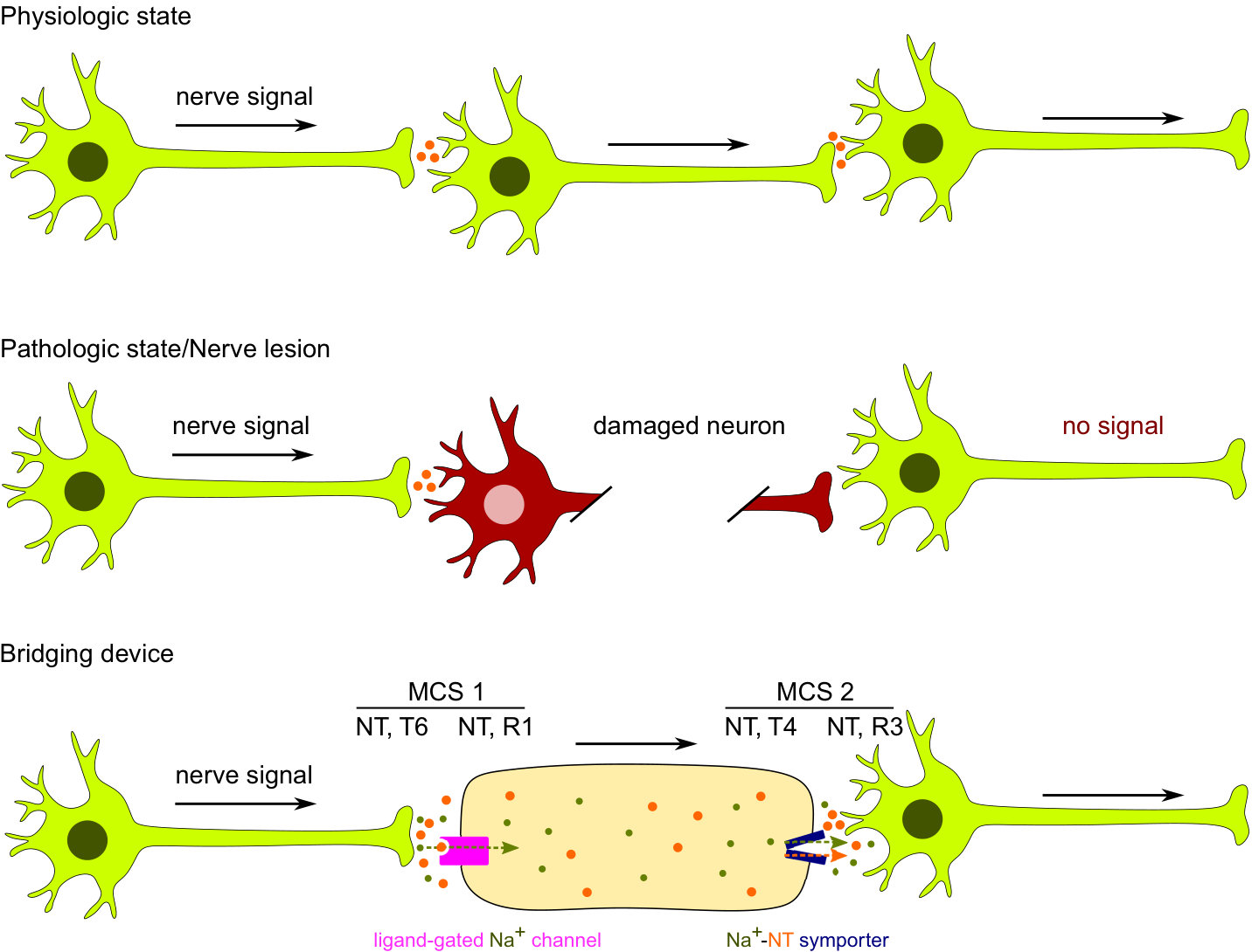 Figure 15