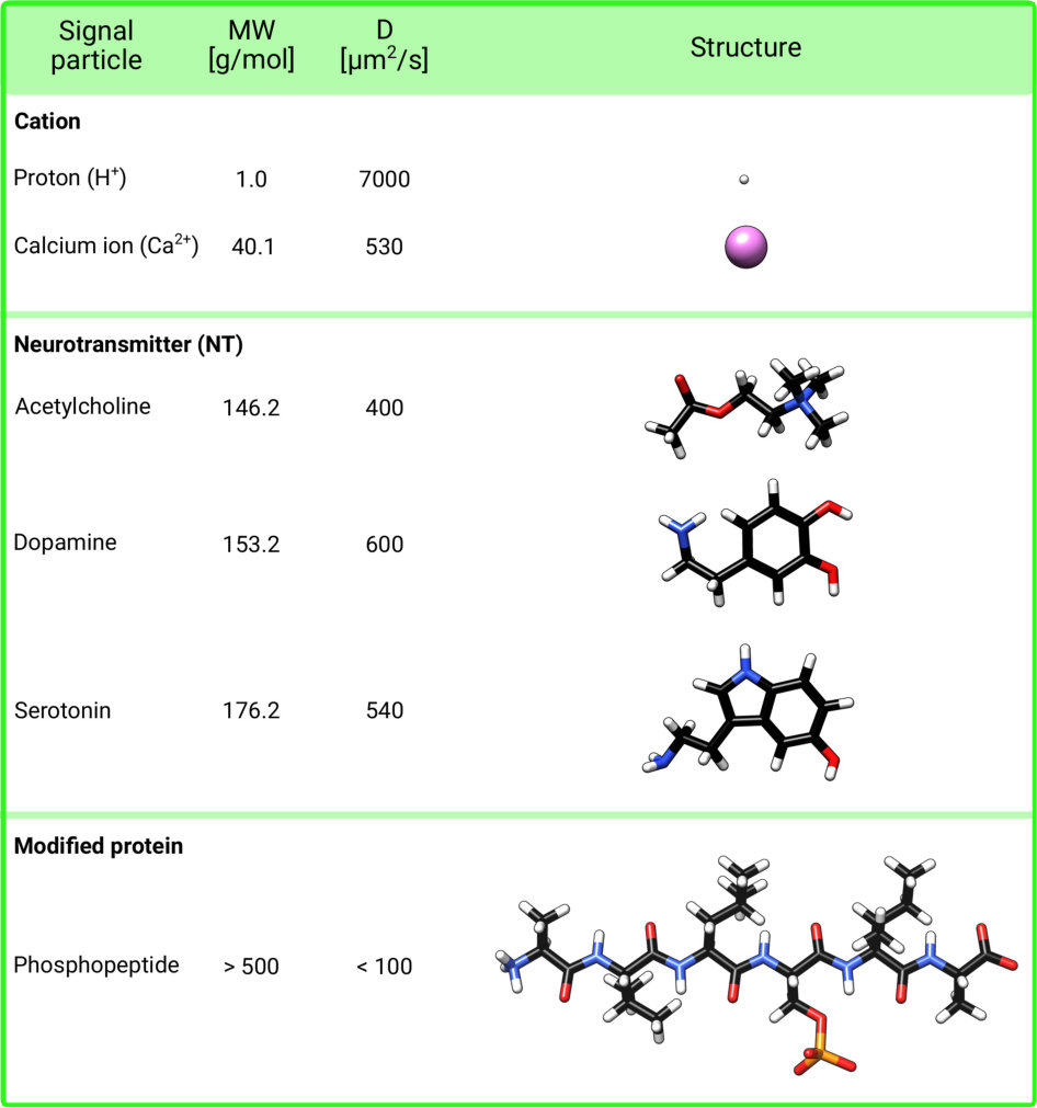 Figure 17