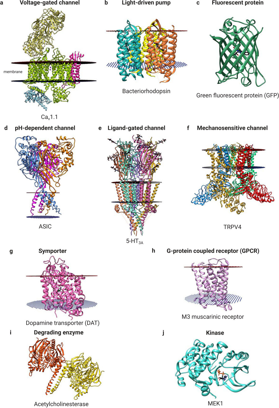 Figure 18