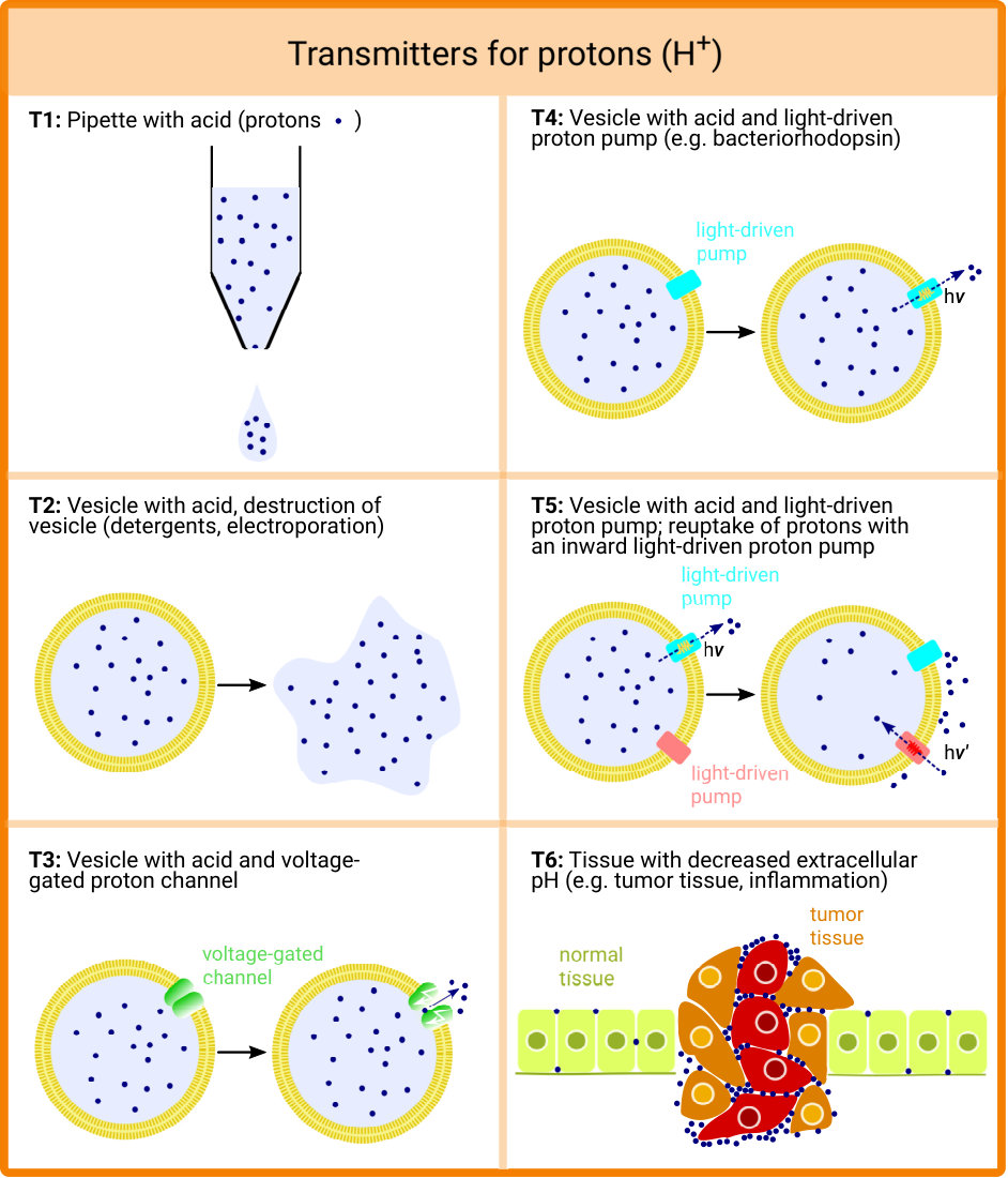 Figure 19