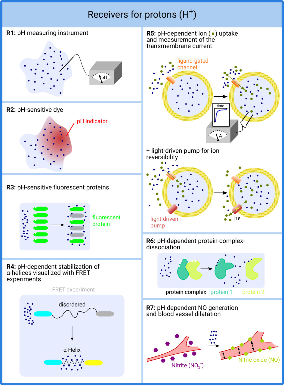 Figure 20