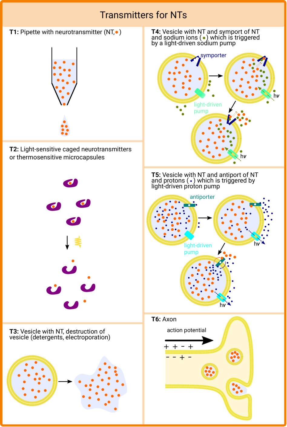 Figure 21