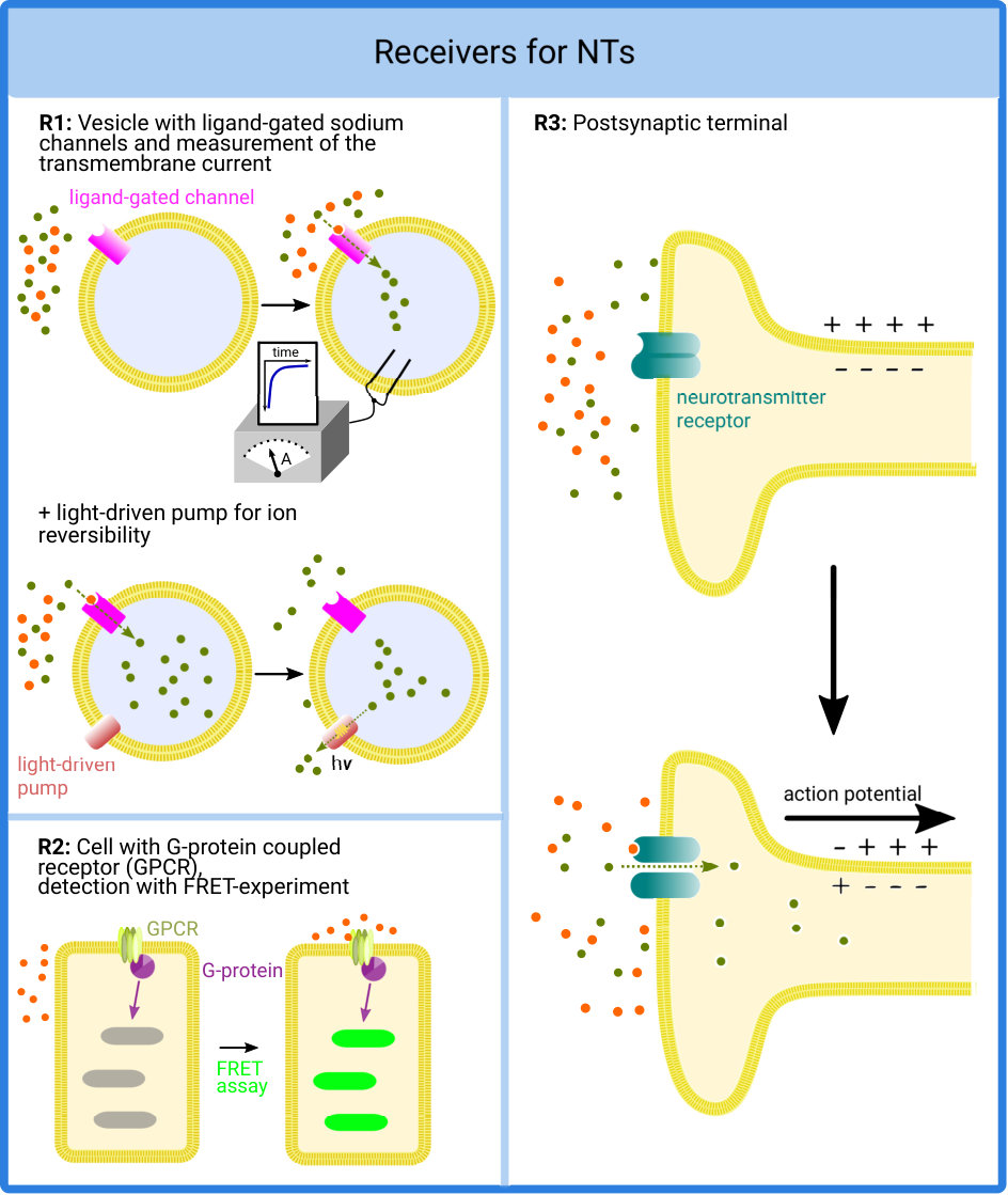 Figure 22