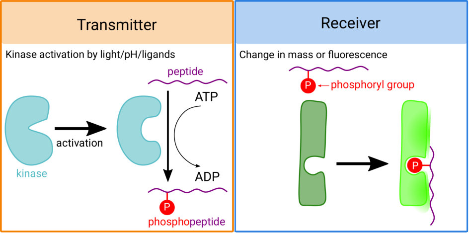 Figure 23
