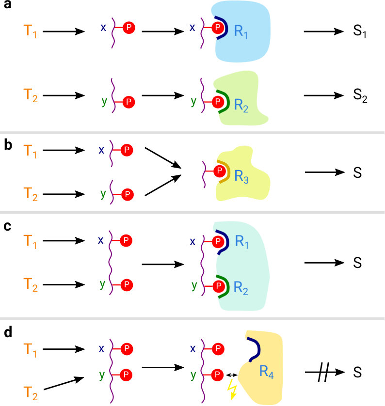 Figure 24