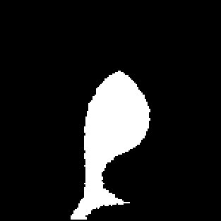 Figure 21