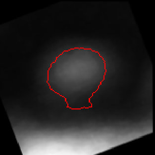 Figure 28
