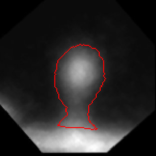 Figure 29