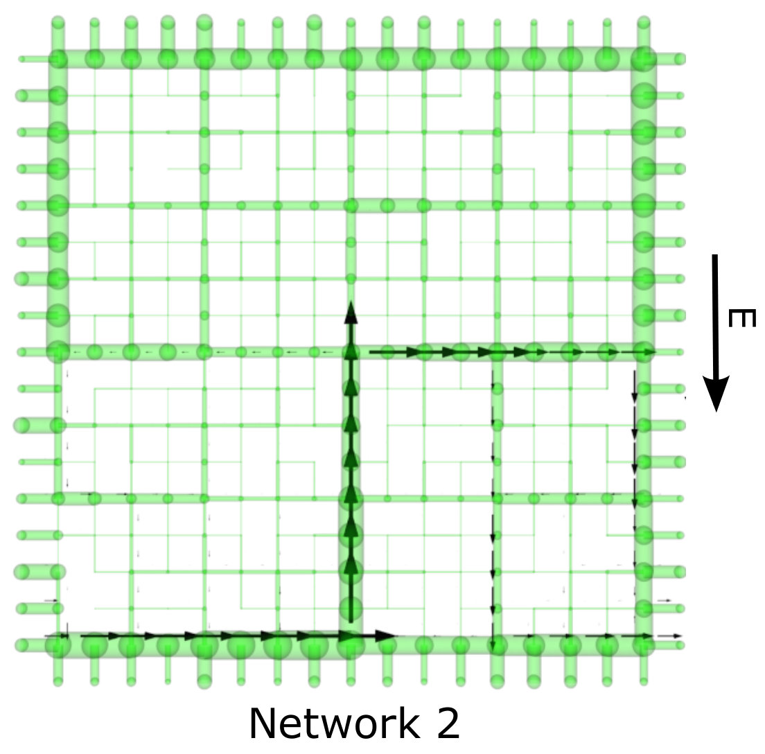 Figure 20