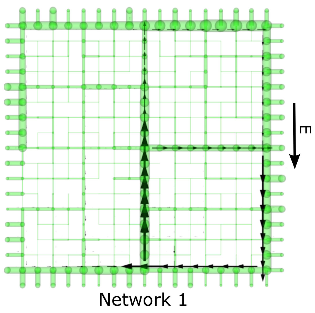 Figure 21