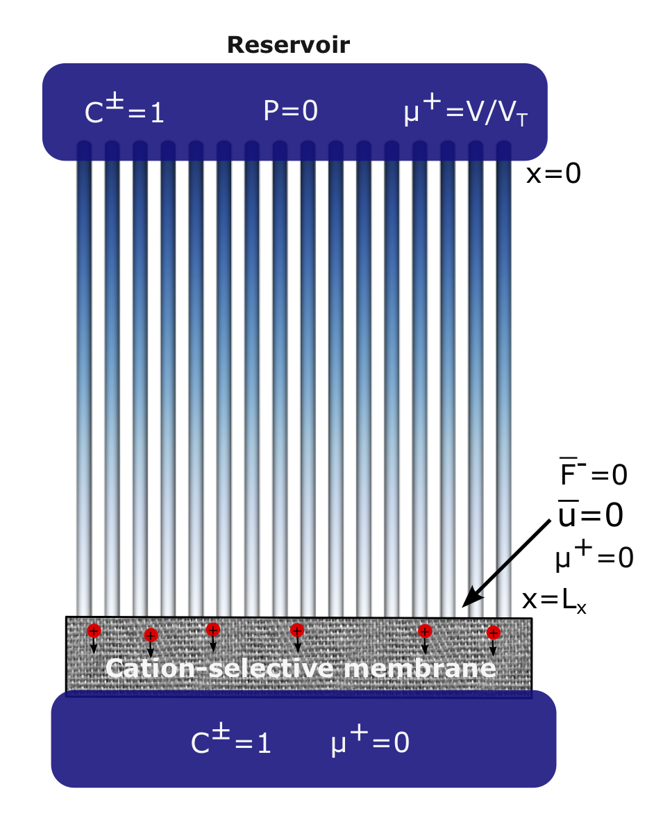 Figure 22