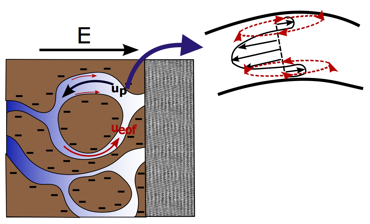 Figure 29