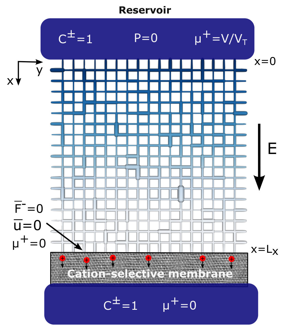 Figure 39