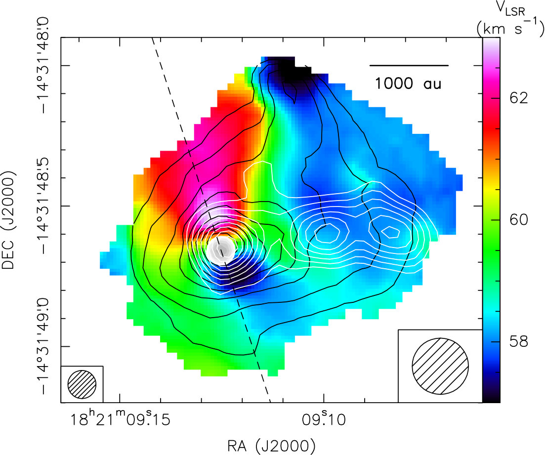 Figure 11