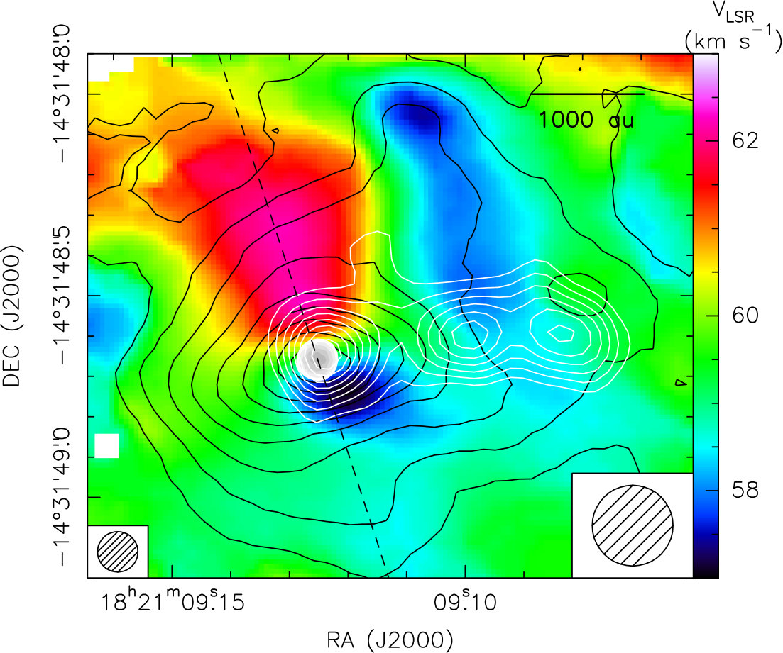Figure 12