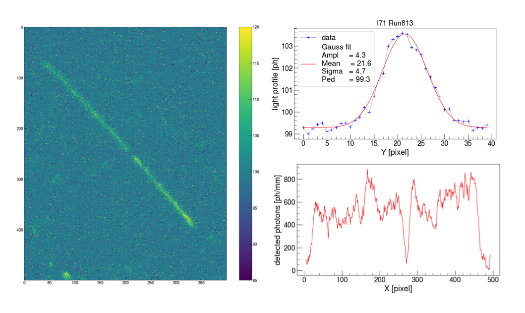 Figure 10