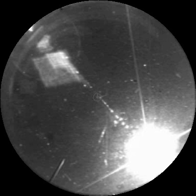 Figure 13