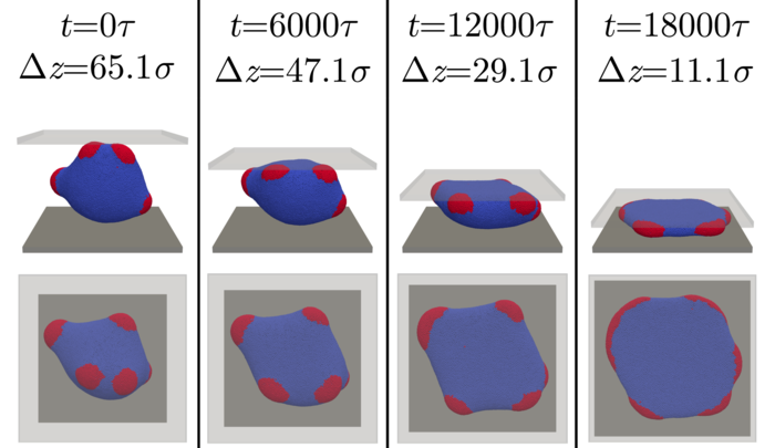 Figure 10