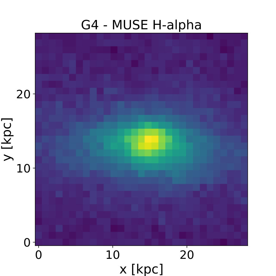Figure 39
