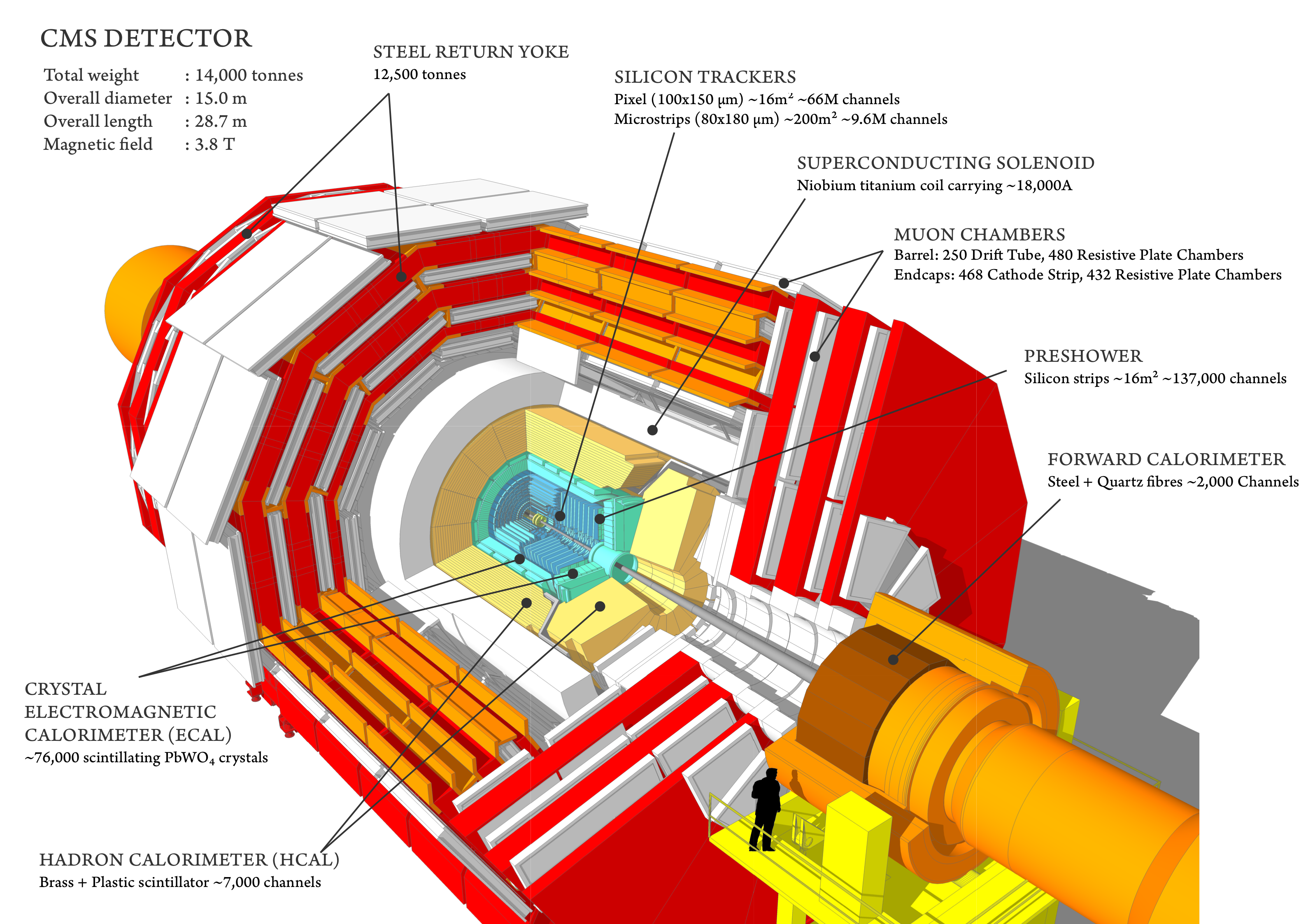 Figure 19