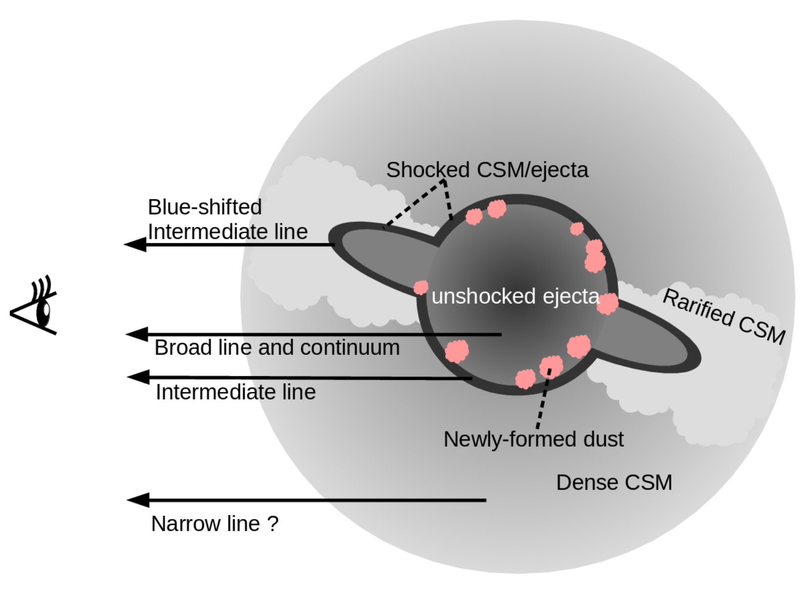 Figure 24