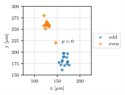 Figure 31