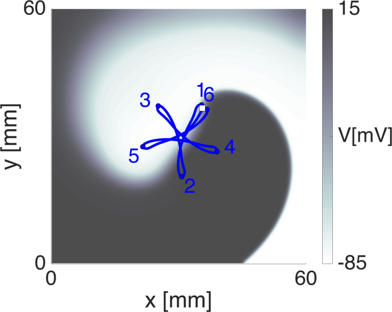 Figure 7