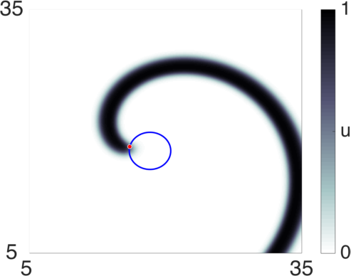 Figure 11