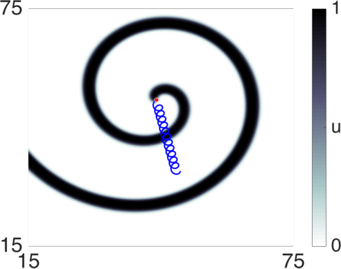 Figure 19